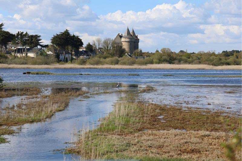 Camping L'oasis: Chateau Suscinio Near Camping Morbihan Bord De Mer Loasis