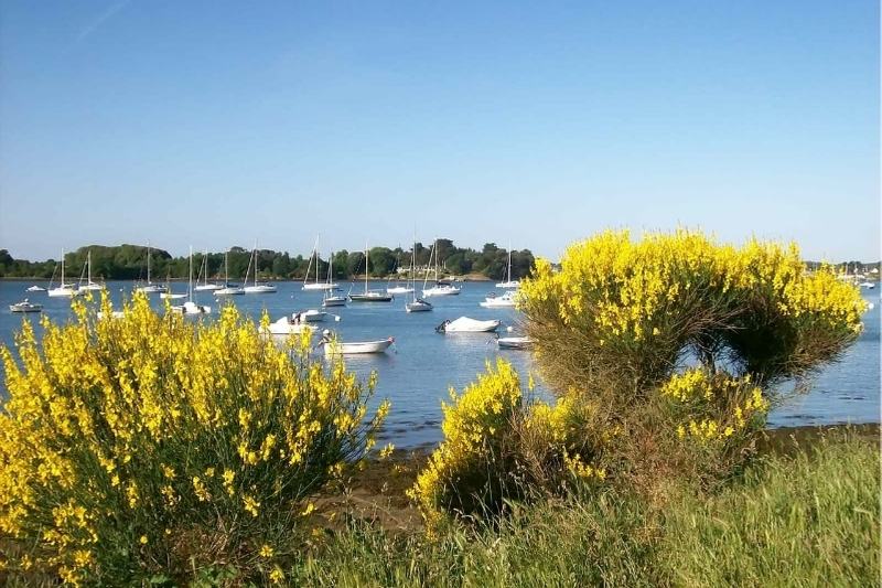 Camping L'oasis: Port In The Gulf Of Morbihan