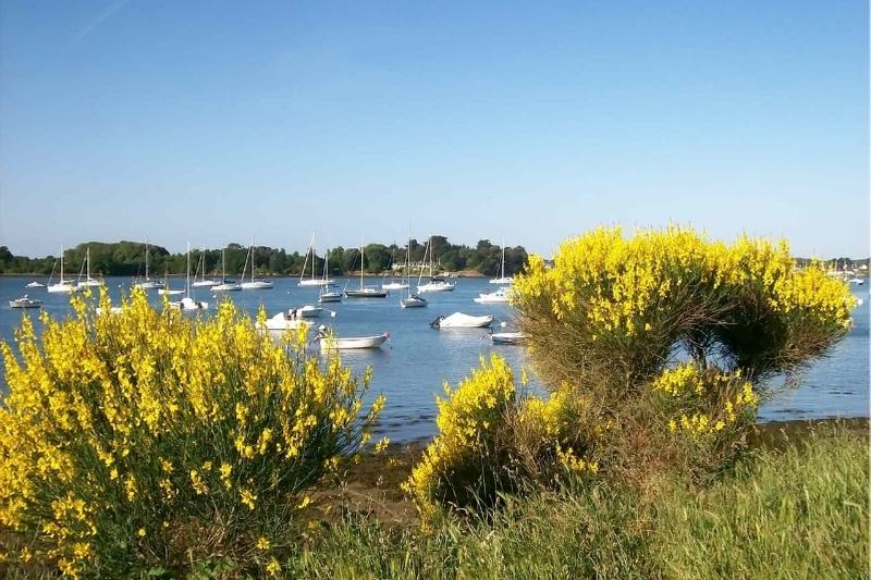 Camping L'oasis : Port Dans Le Golfe Du Morbihan