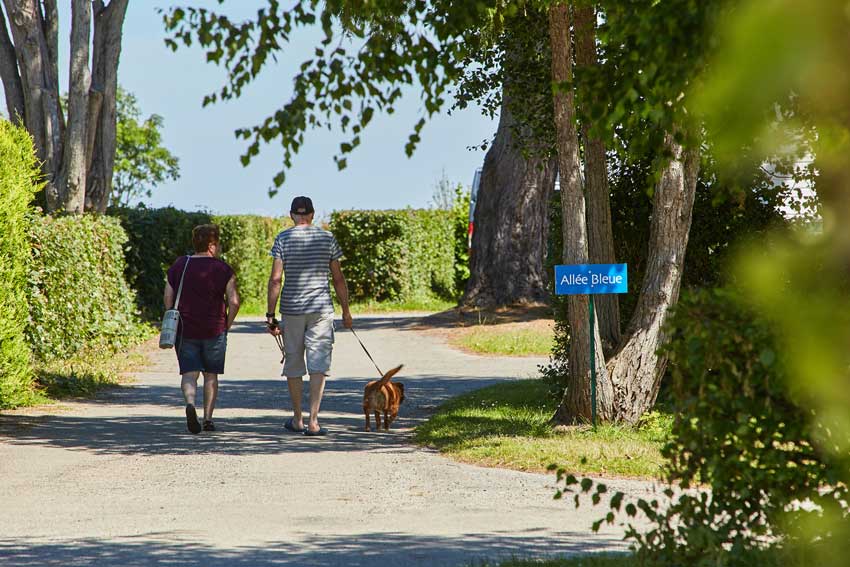 Campsite L'oasis: ©laurent Rannou N° 0050