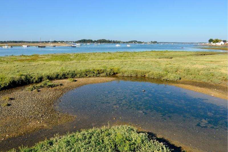 Camping L'oasis : Marais à Damgan Proche Du Camping Morbihan Bord De Mer Camping Loasis